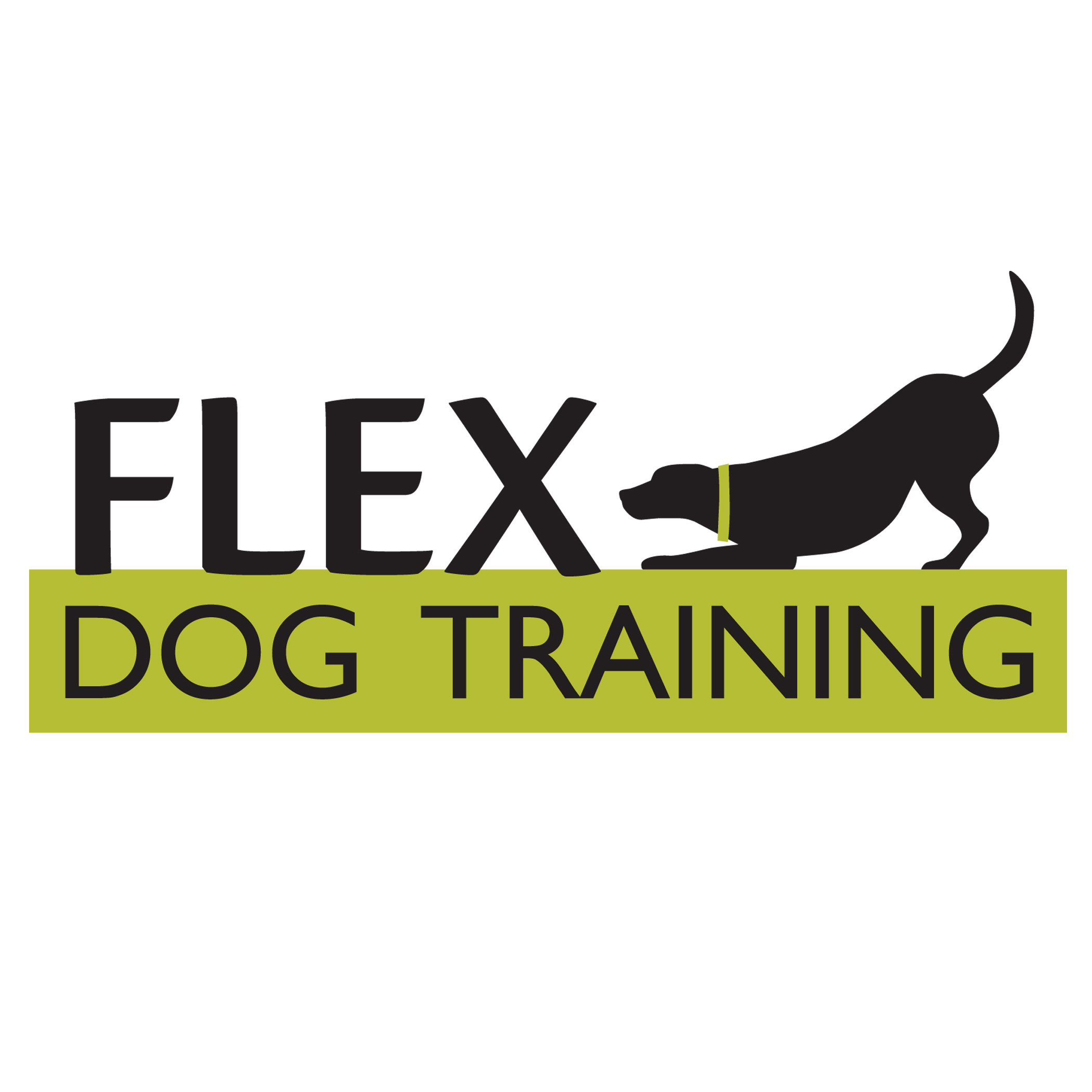 Flex Dog Training – Jen Gordon Design